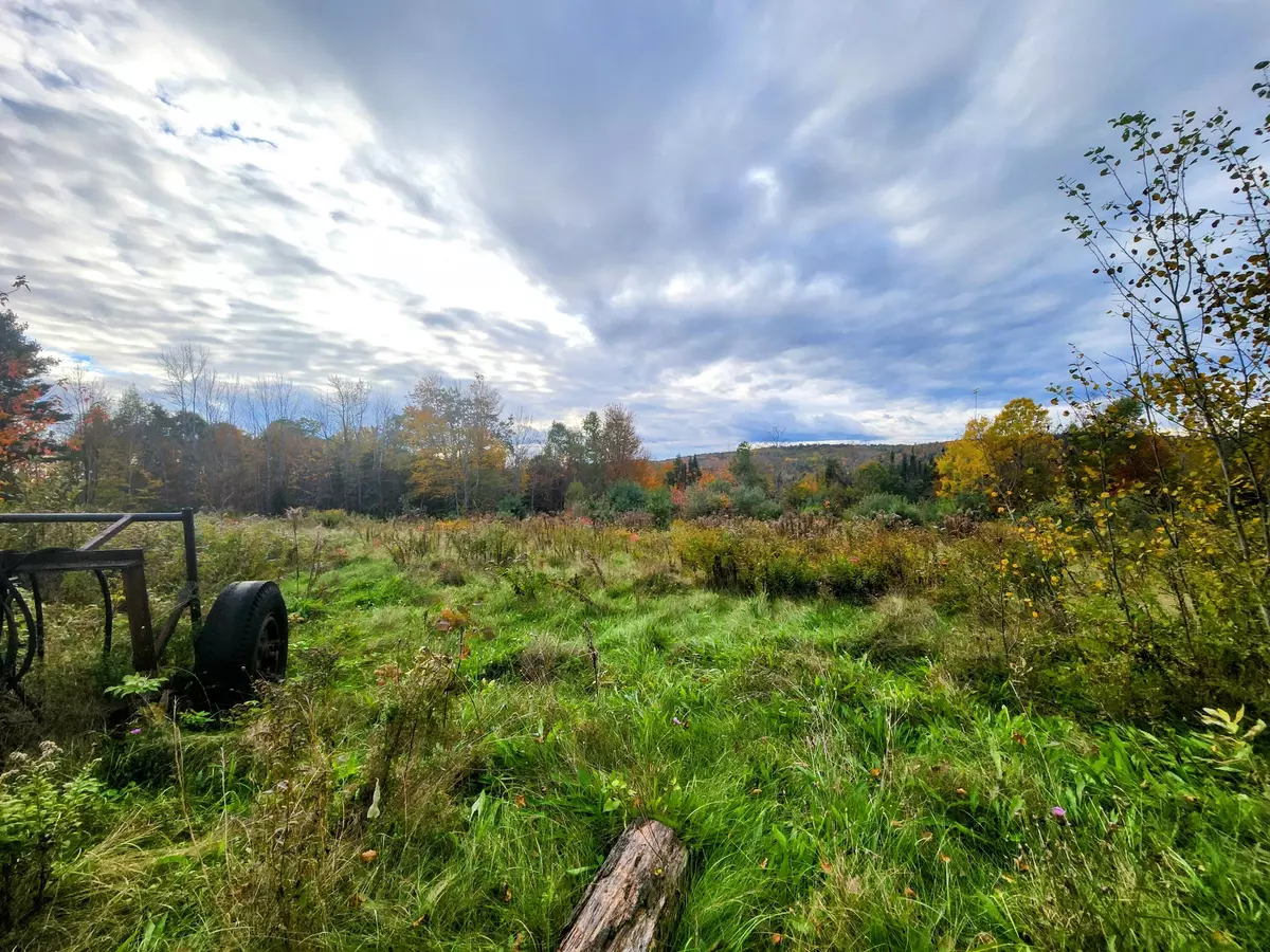 Freedom, ME 04941,Lot 17 Greeley RD