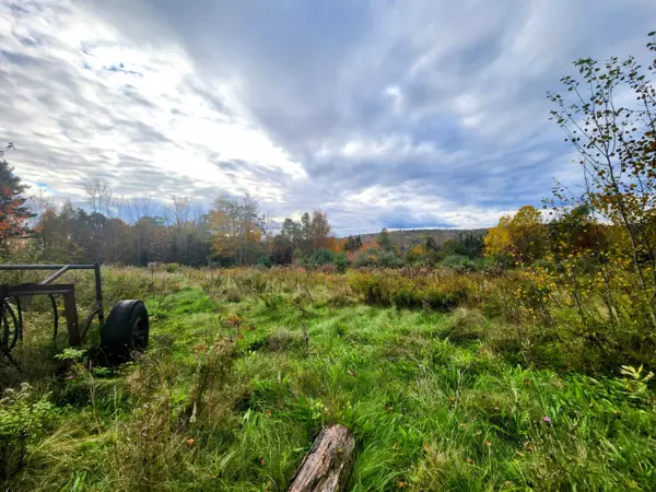 Lot 17 Greeley RD, Freedom, ME 04941