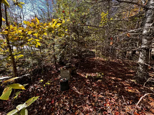 Mariaville, ME 04605,42 Whitmore RD