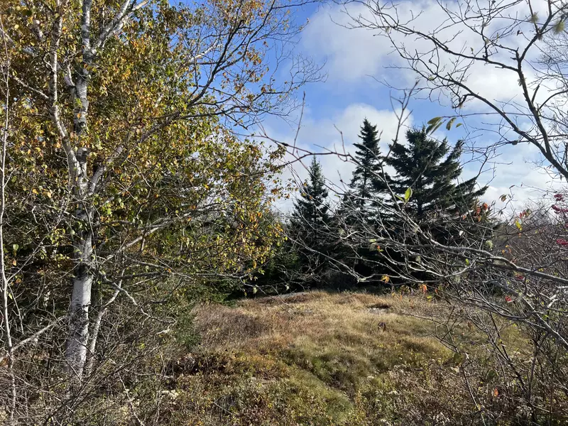 M7 L81 Indian River RD, Jonesport, ME 04649