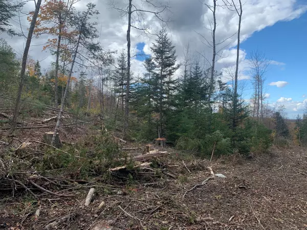 Carroll Plt, ME 04487,0 Sheepskin RD