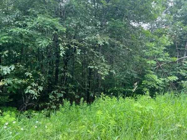 Frankfort, ME 04438,0 Swanville RD