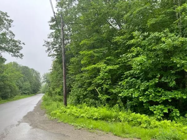 Frankfort, ME 04438,0 Swanville RD