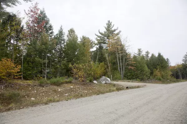 Waltham, ME 04605,Lot 69 Bluejay LN