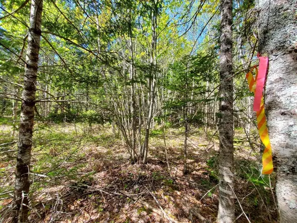 Northfield, ME 04654,3-2 Black Cow Meadow