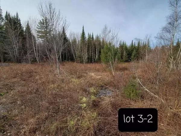 Northfield, ME 04654,3-2 Black Cow Meadow