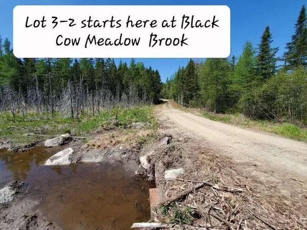 Northfield, ME 04654,3-2 Black Cow Meadow
