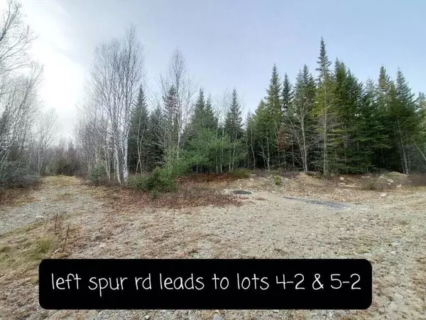 Northfield, ME 04654,4-2 Black Cow Meadow RD