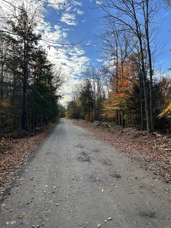 Rome, ME 04963,19 Ladd RD
