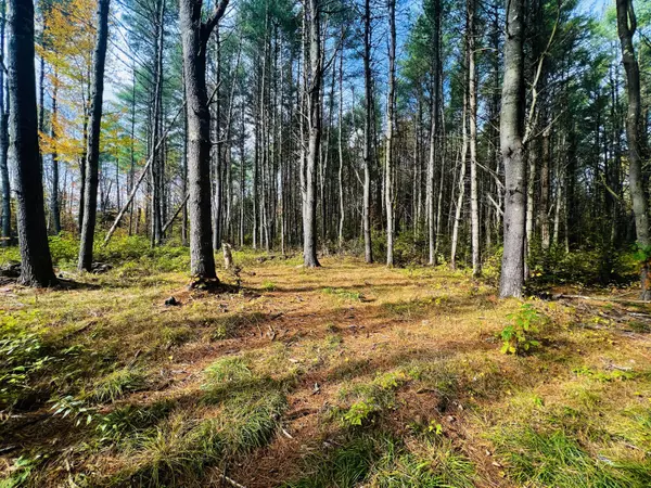 M5 L22-3-1 Leavitt DR, Palmyra, ME 04965