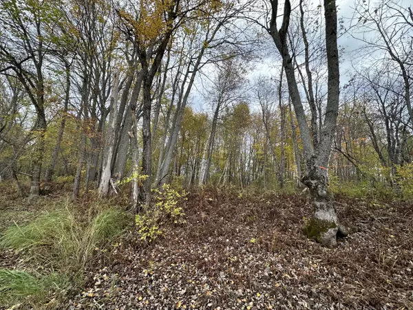 Winn, ME 04495,166 U.S. Route 2