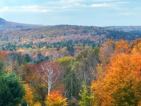 South Berwick, ME 03908,Lot# York Woods RD