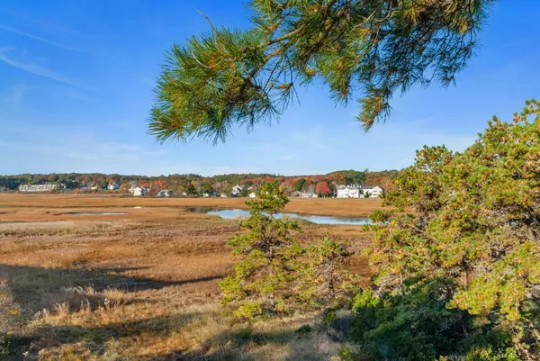 Wells, ME 04090,146 Ocean AVE