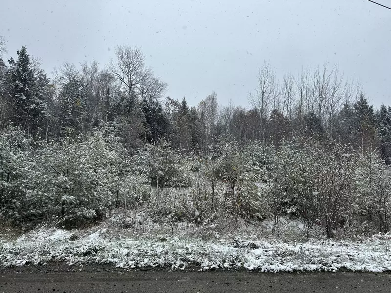 Lot 1 Pine View Estates, Enfield, ME 04493