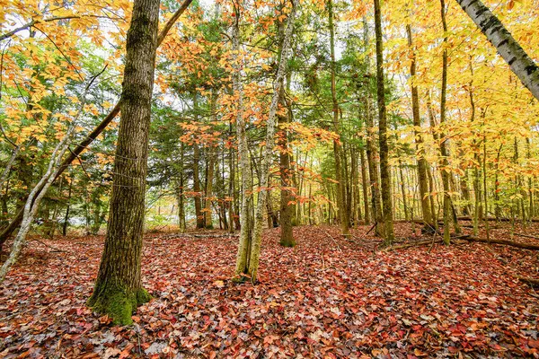 Readfield, ME 04355,Lot # 14 North RD