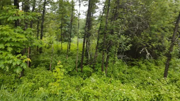 Woodland, ME 04736,78 Colby Siding RD