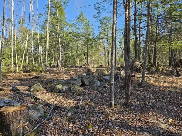 Lovell, ME 04051,0 Foxboro RD