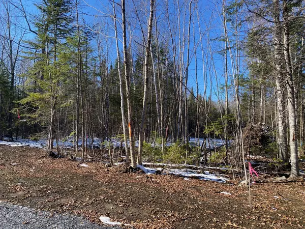 Greenville, ME 04441,3 Tumbledown LN