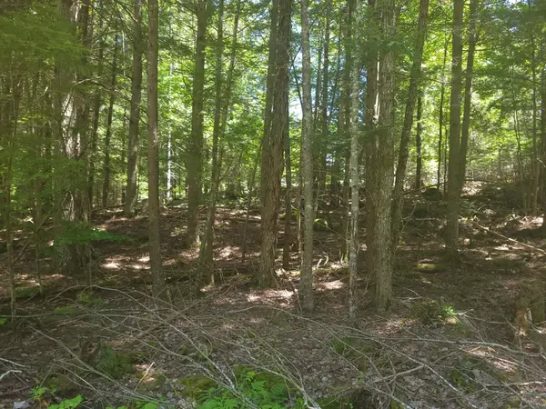 000 Swetts Pond Road Extension, Orrington, ME 04474