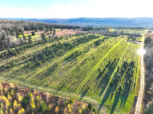 Grand Isle, ME 04746,Map23 Lot4 Grivois RD