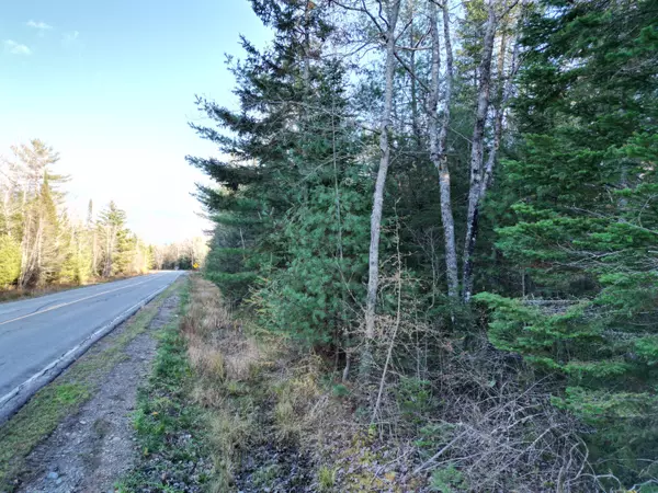 Old Town, ME 04468,41 Southgate RD