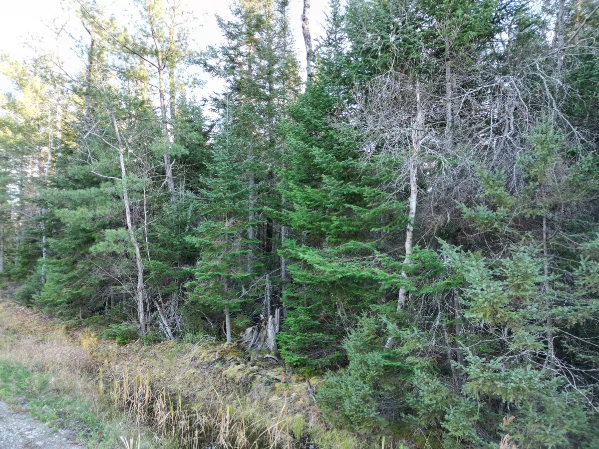 Old Town, ME 04468,41 Southgate RD