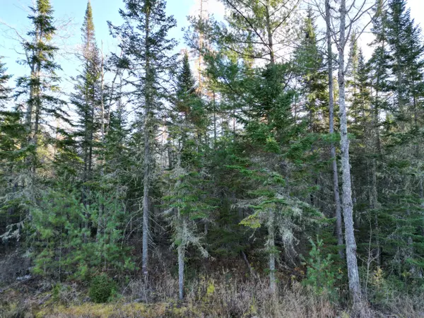 Old Town, ME 04468,42 Southgate RD