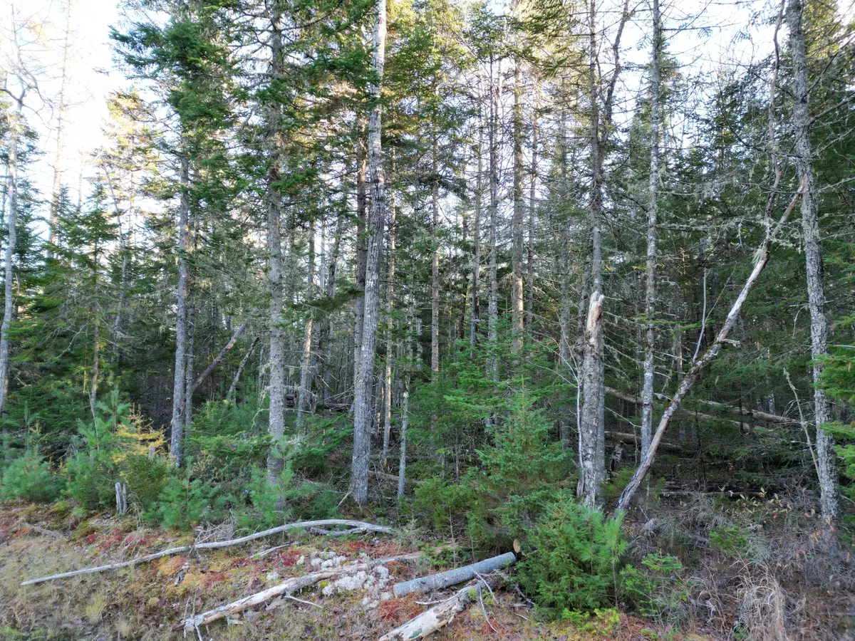 Old Town, ME 04468,42 Southgate RD