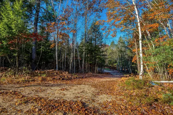 Fryeburg, ME 04037,0 Mountain View RD
