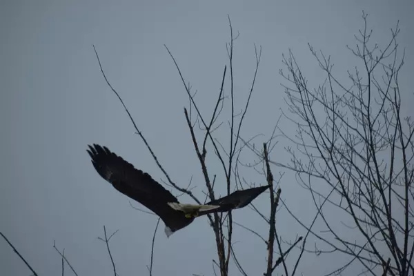 Parsonsfield, ME 04047,67 Randall Lake RD