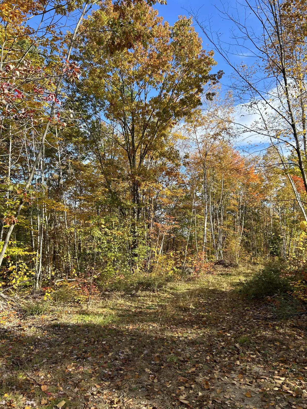 Raymond, ME 04071,lot 18c-15 Lilac LN