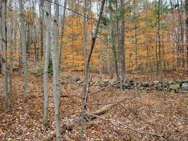 M9 L19-4 US Route 2 E, Wilton, ME 04294