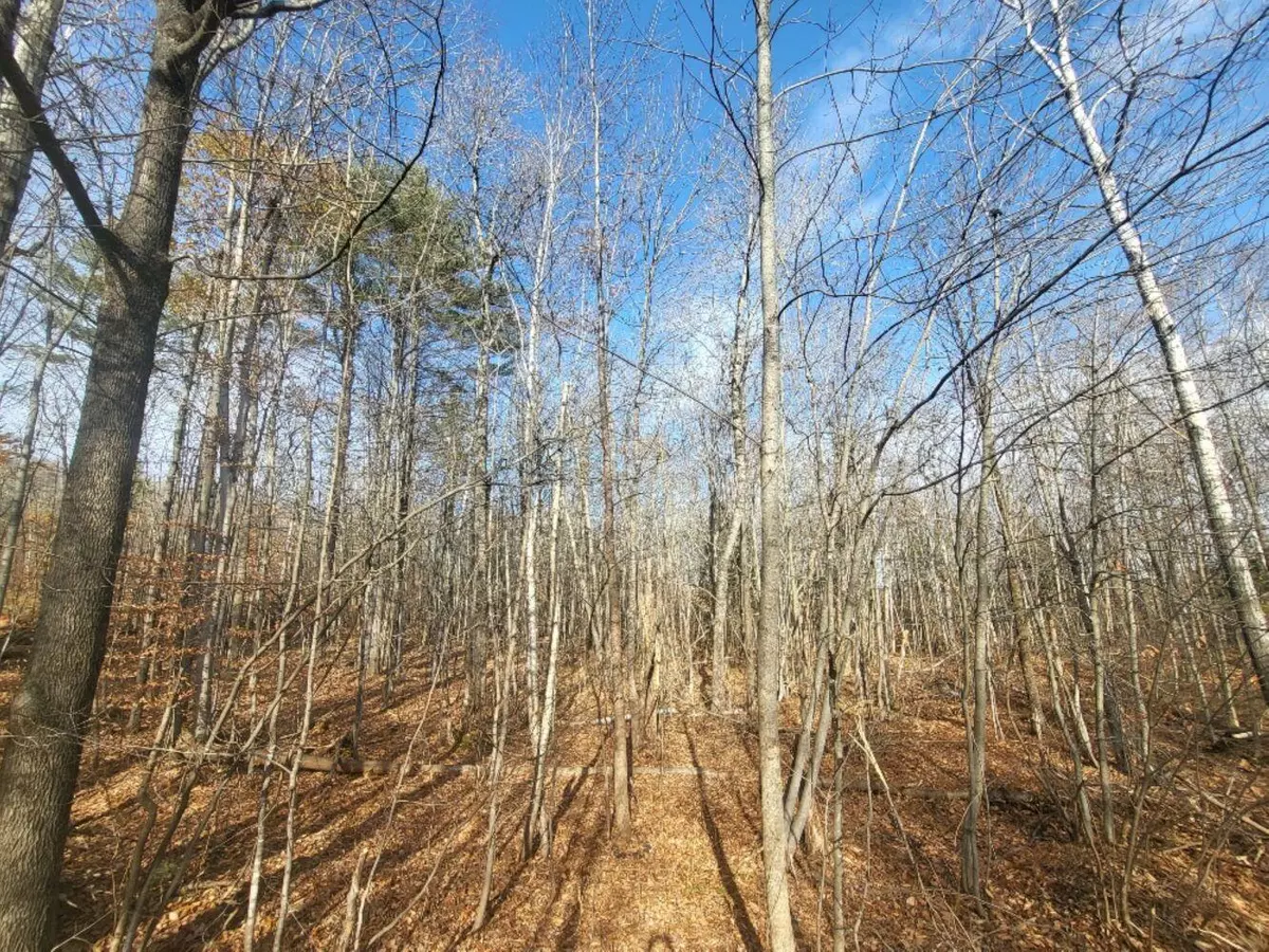 Wilton, ME 04294,M9 L2-7 Prospect ST