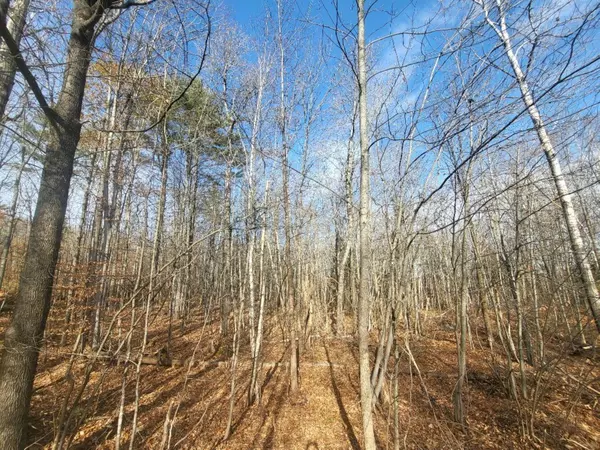 M9 L2-7 Prospect ST, Wilton, ME 04294