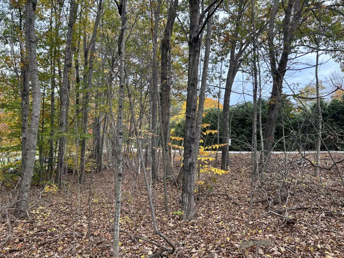 Whitefield, ME 04341,4 Hunts Meadow Road