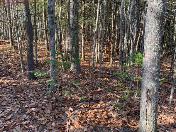 Kennebunkport, ME 04046,Lot 18 Old Cluff RD