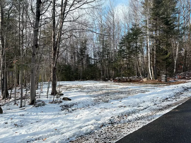 Lot 62 Bird Hill, Bethel, ME 04217