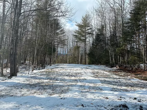 Bethel, ME 04217,Lot 62 Bird Hill