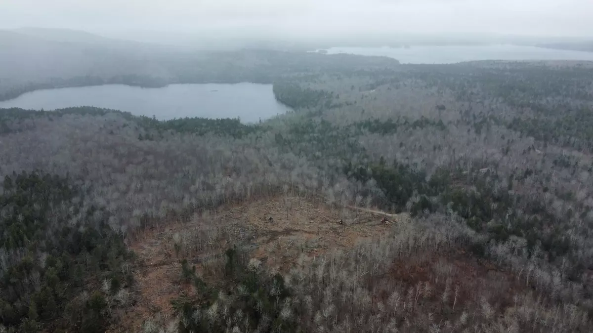 Orland, ME 04472,lot 37 Wedge Heights RD