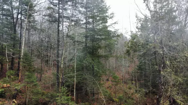 Orland, ME 04472,lot 37 Wedge Heights RD