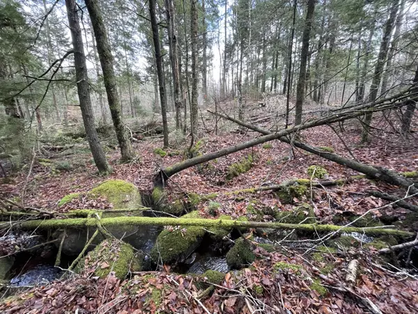 Orland, ME 04472,lot 37 Wedge Heights RD