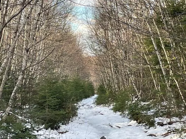 M7 L4 Off Ward Ridge RD, Wellington, ME 04942