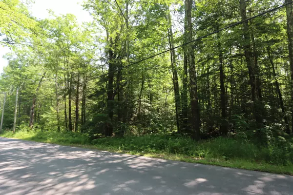 Greene, ME 04236,Lot 49-3 North Mountain RD