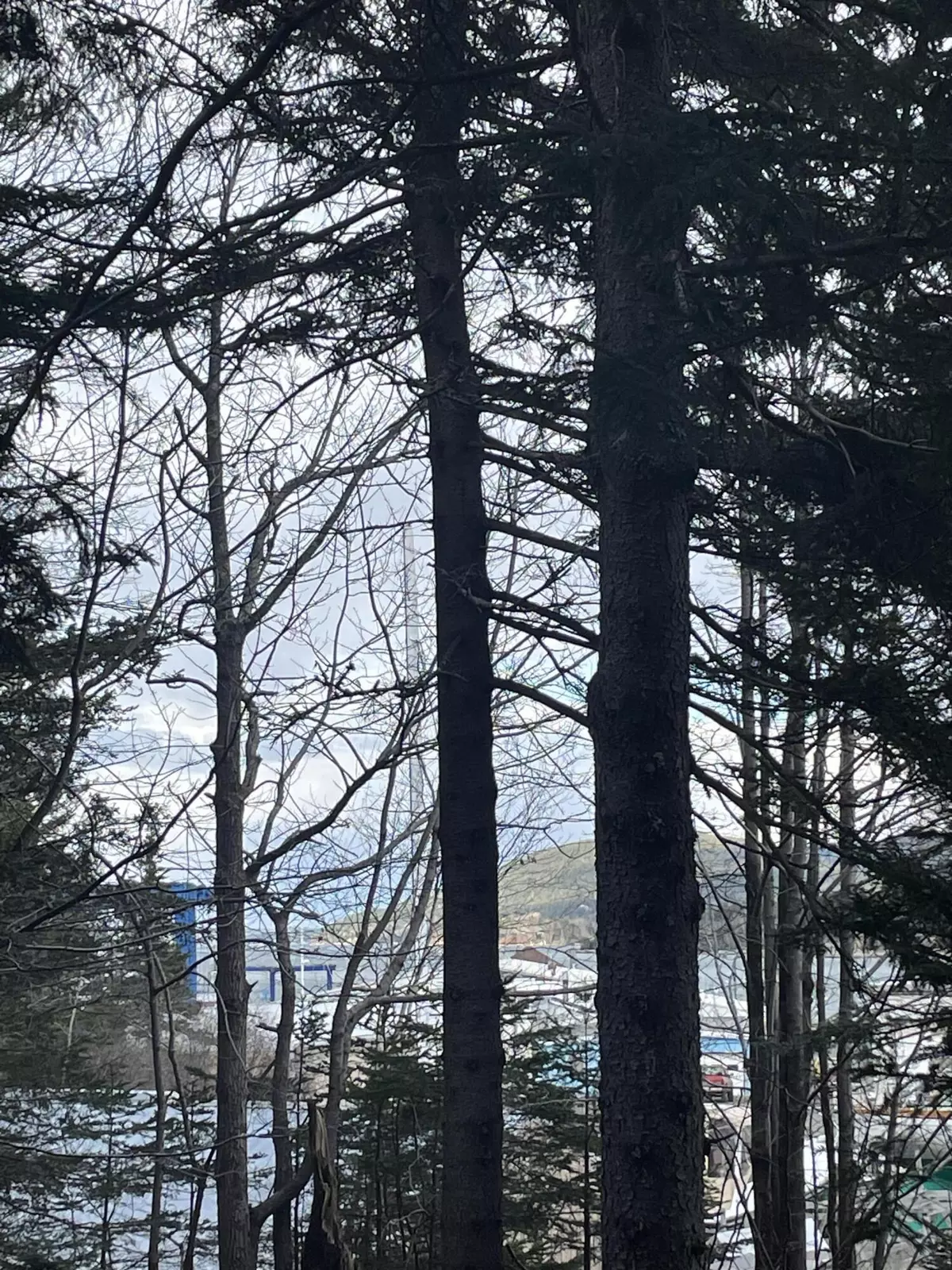 Southwest Harbor, ME 04679,217 Seawall Road RD