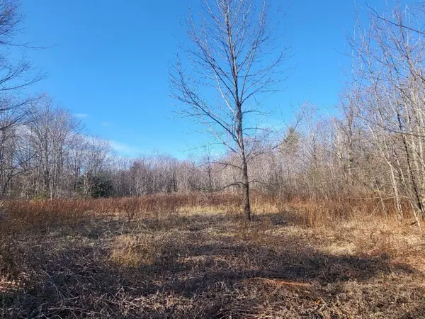 Vienna, ME 04360,484 Tower RD