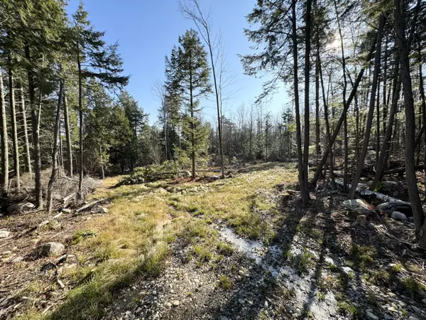 Oakland, ME 04963,Lot 3 Lake Vista DR