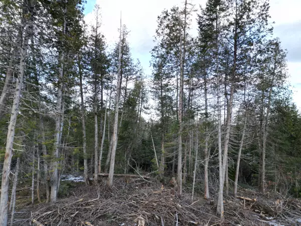 Maxfield, ME 04448,20 River RD