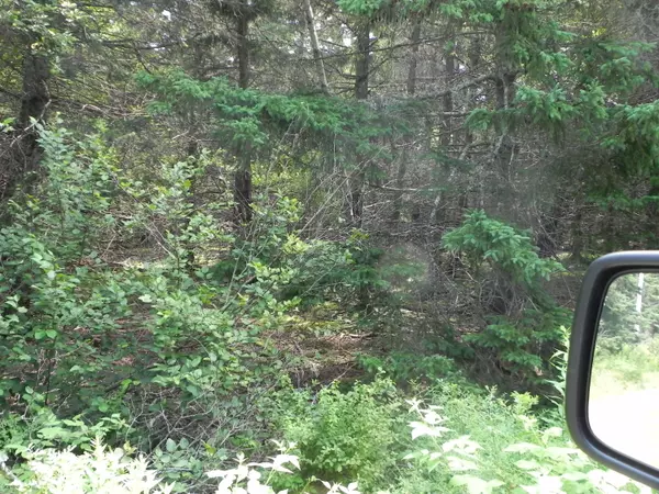 Lubec, ME 04652,0 Lyons Road Lot 87-1