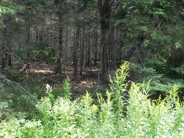 Lubec, ME 04652,0 Lyons Road Lot 87-1