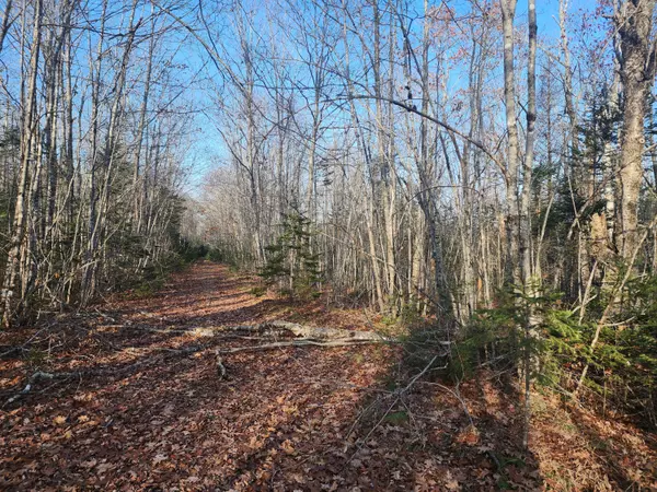 Lot#20 ryan LN, Surry, ME 04684